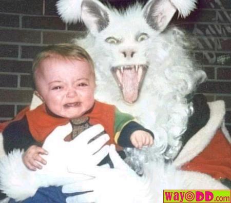 scary easter bunny pics. More funny pictures