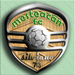 Champion Logo